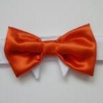 Formal Dog Bow Tie : Weddin..