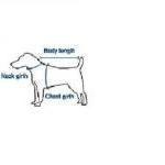 Dog Tuxedo Harness: Ring Be..