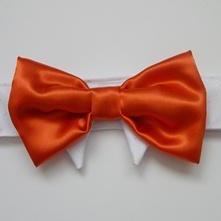 Formal Dog Bow Tie : Wedding Tango Tangerine