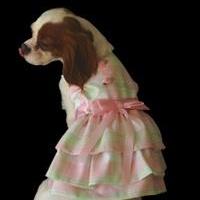 Dog Dress: soft pink and green pastel