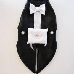 Dog Tuxedo Harness: Ring Bearer